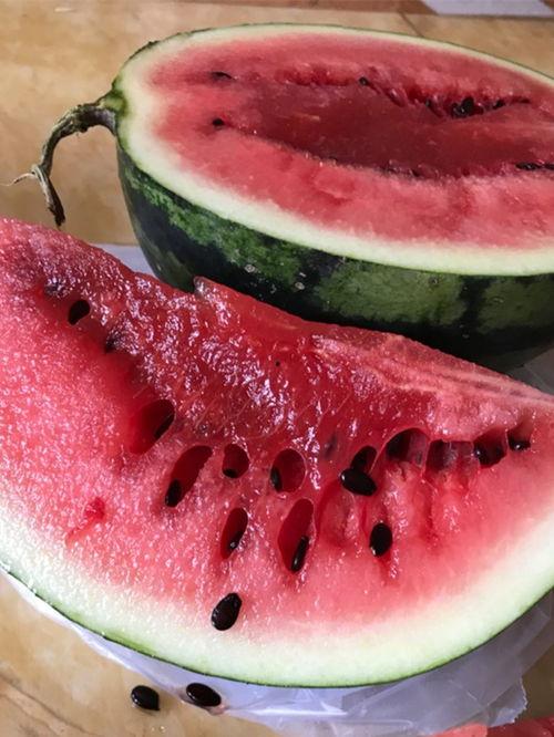 西昌的瓜最新爆料,揭秘最新瓜种传奇  第1张